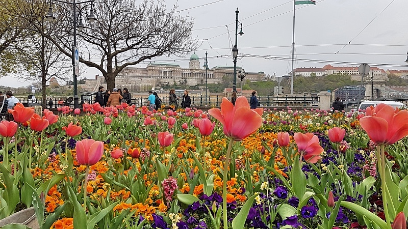 Budapest keväällä