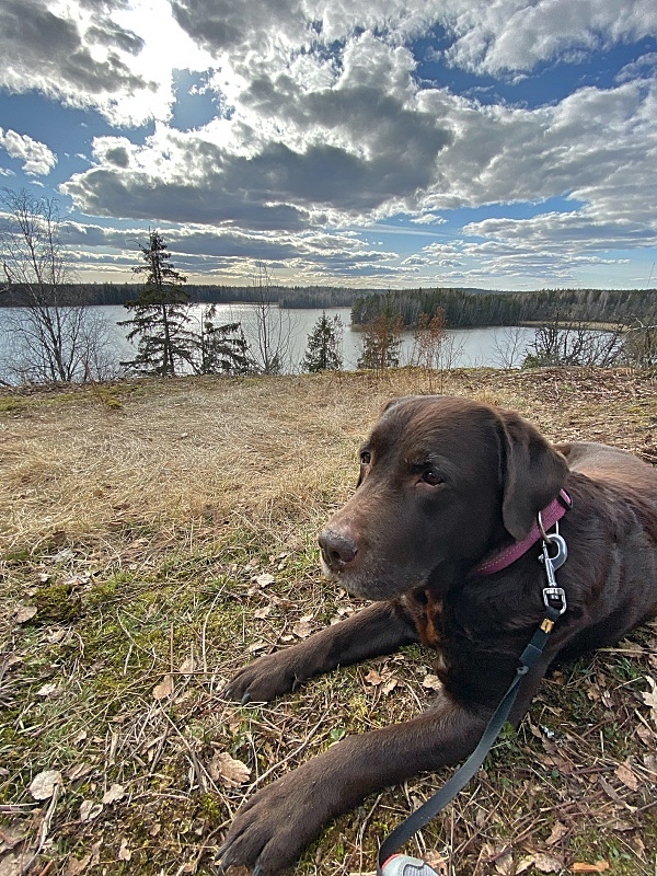 Ylhäällä evästauolla. Hienot maisemat