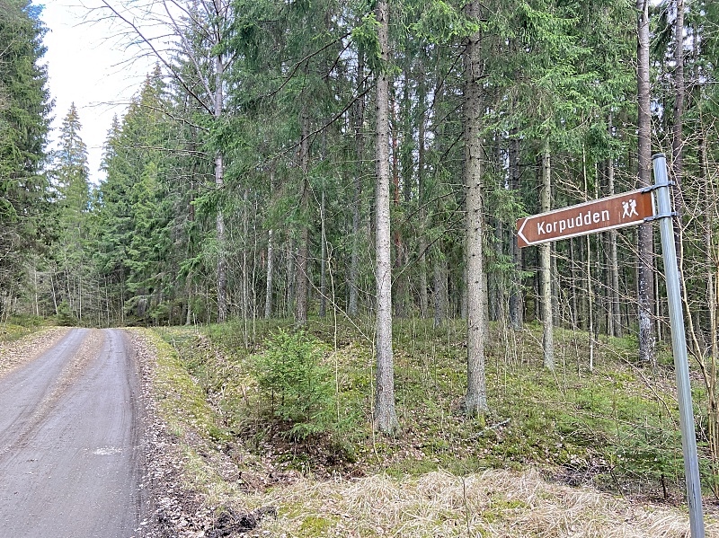 Korpudden opaste