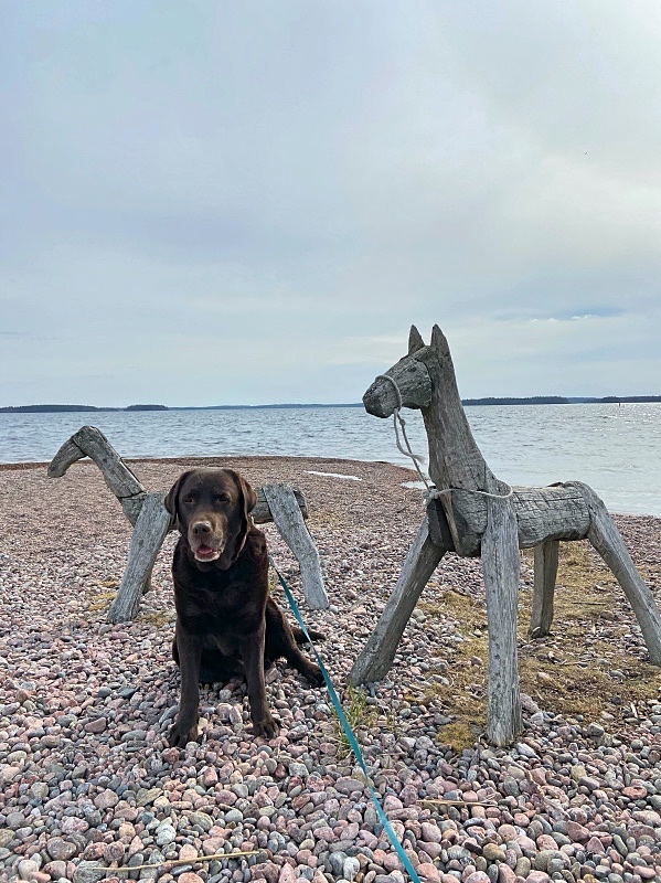 Ristiniemen rannalla Kyläniemessä