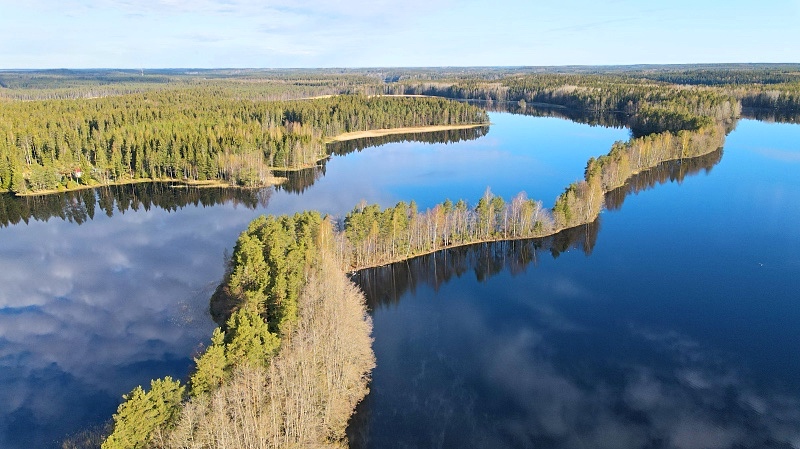 Kyynäränharju Liesjärven kansallispuistossa