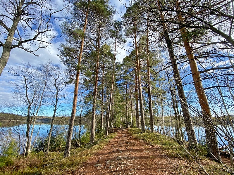 Kyynäränharjulla