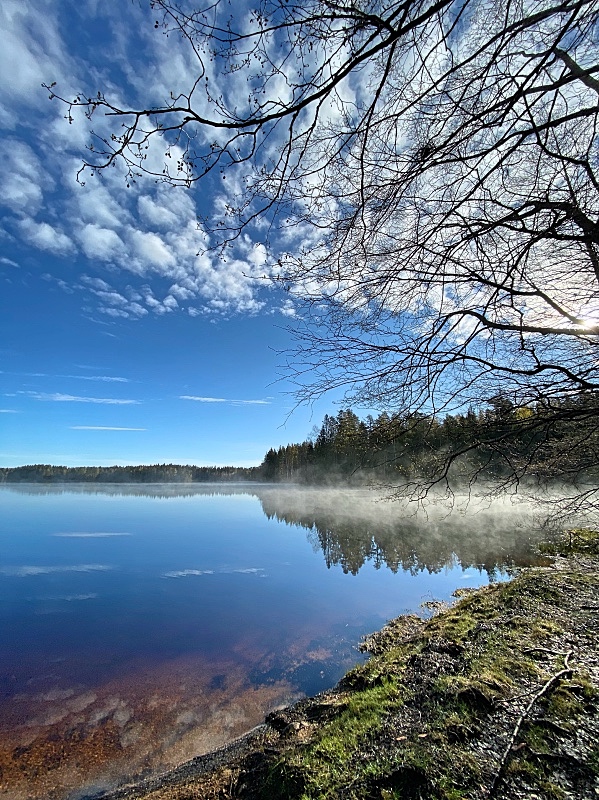 Aamun usva Liesjärven kansallispuistossa