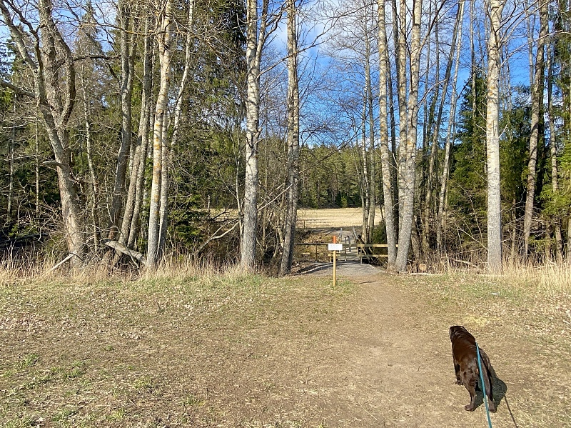 Reitti jatkuu pellolta takaisin metsään