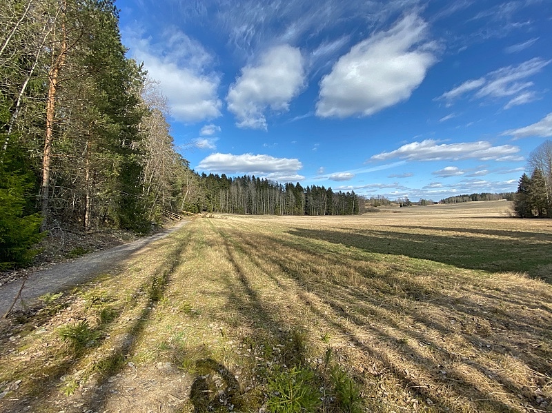 Risslan metsäpolku