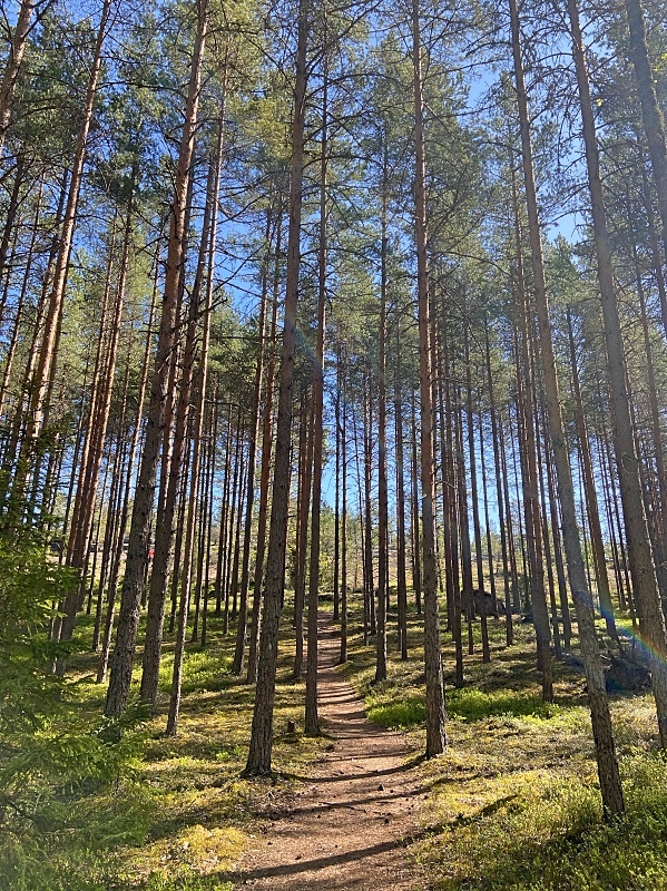 Maisemaa reitin varrelta ennen Nenustannokkaa