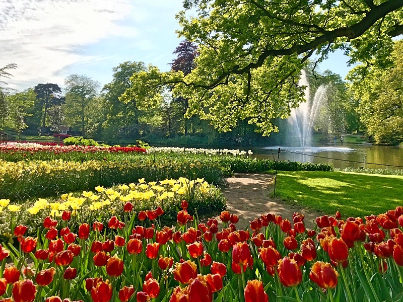 Keukenhof tulppaanipuutarha Hollannissa