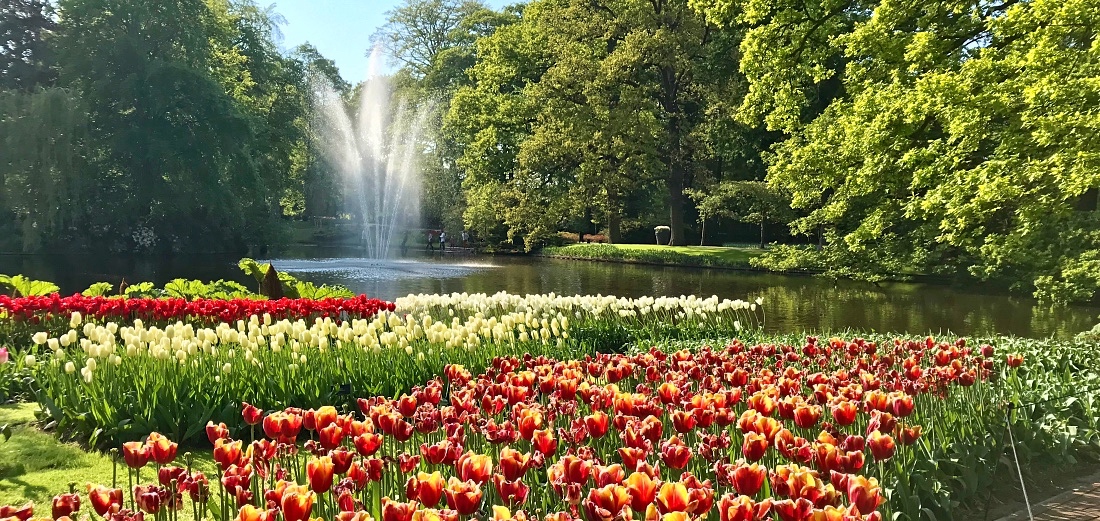 Keukenhof tulppaanit