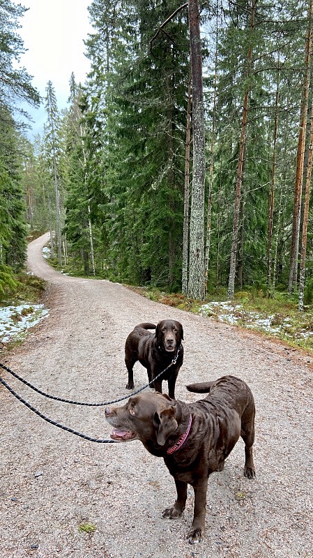 Salmen ulkoilualueella