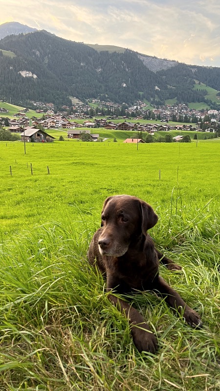 Adelbodenissa koiran kanssa