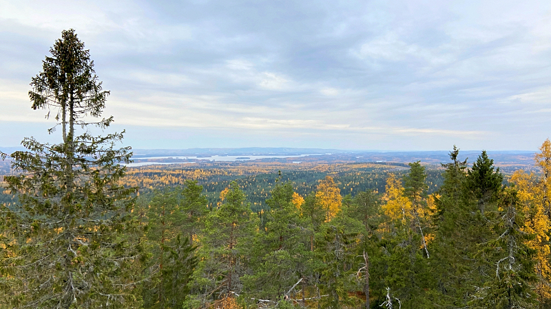 Maisemat Pisan luonnonsuojelualueen näköalatornista