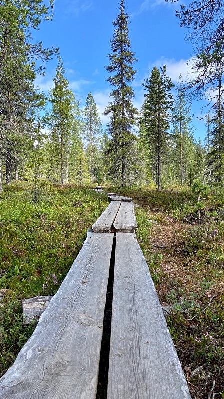 Pyhä-Nattasen pitkospuut