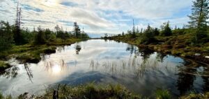 ikkunalampi Riisitunturin kansallispuistossa