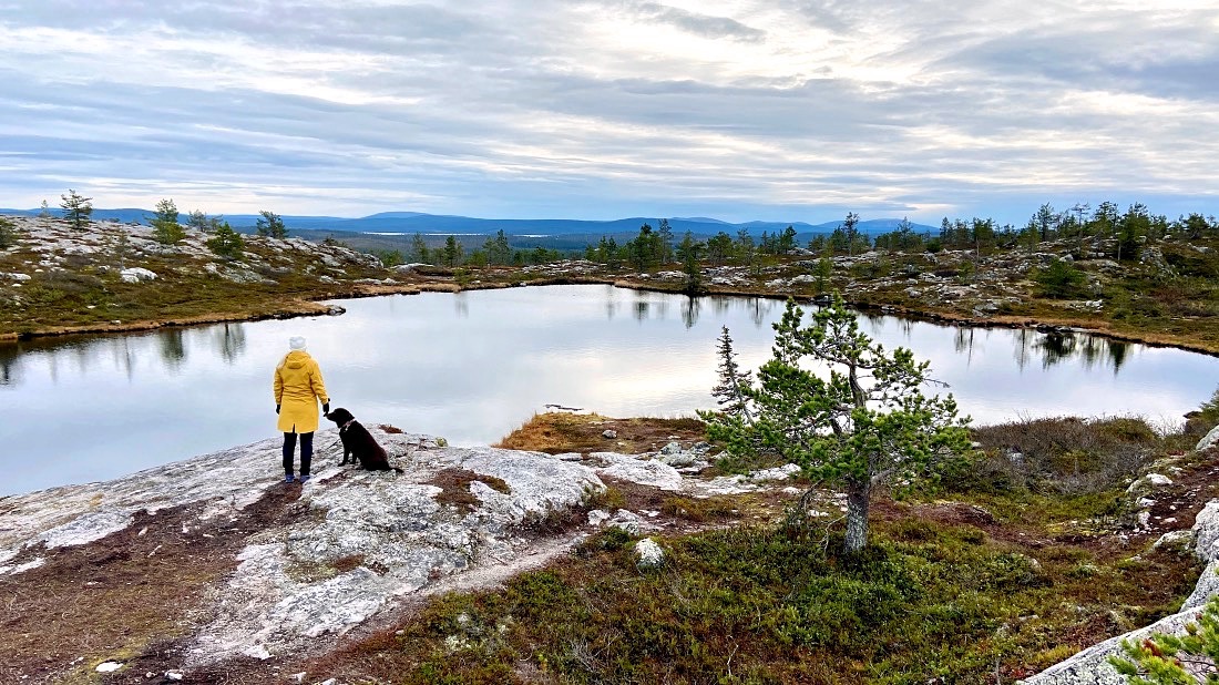Särkitunturi Lapissa upeissa maisemissa