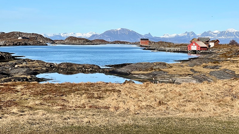 Maisema puskaparkissa