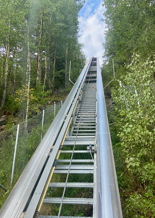 Kiskohissi Kolin kansallispuistossa.