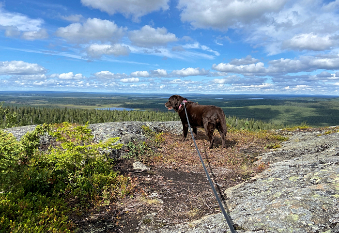 Koiran kanssa Pyhityksen huipulla.