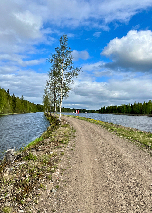 Saimaan kanavan pyöräilyreitin maisemia keväällä.