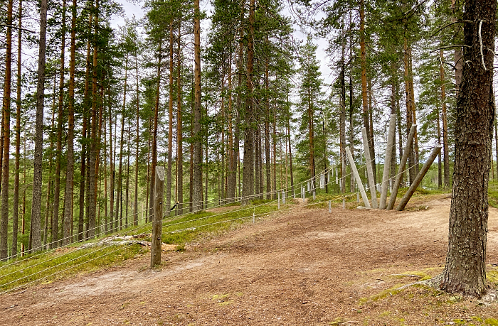 Soivan metsän soittimia Suomussalmella.