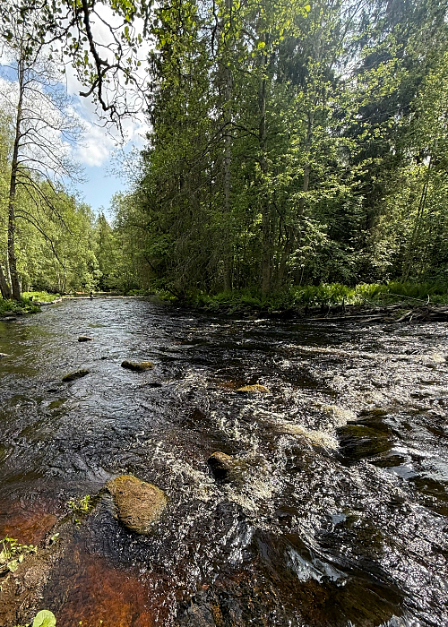 Kalastaja Karkkilan koskireitillä.