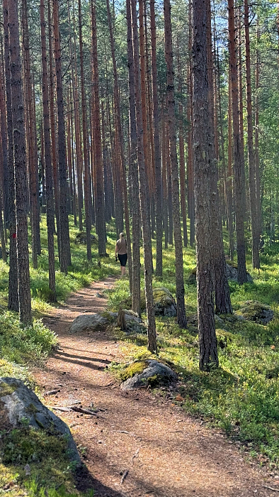 Harjunkierros Leivonmäen kansallispuistossa. Polku metsän keskellä.