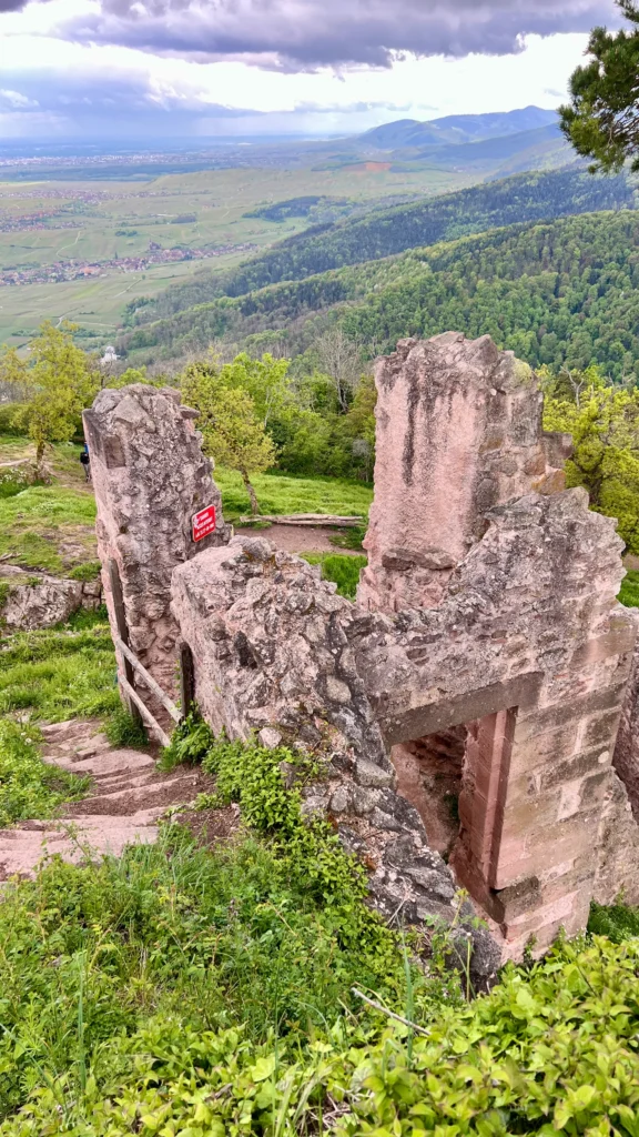 Château du Haut-Ribeaupierre linna Ranskassa.
