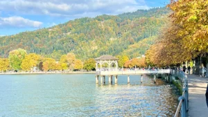 Ruska Bregenzissä Itävallassa Bodensee järven rannalla.