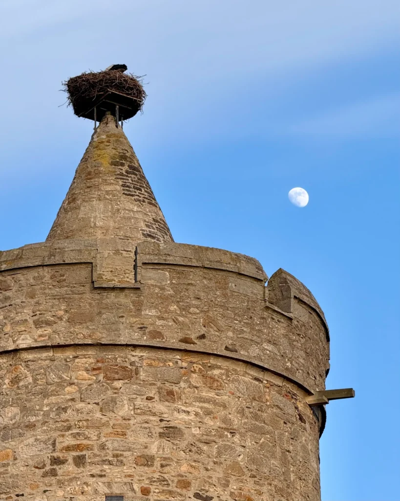 Haikaranpesä tornin päällä Alsfedissä Saksassa.