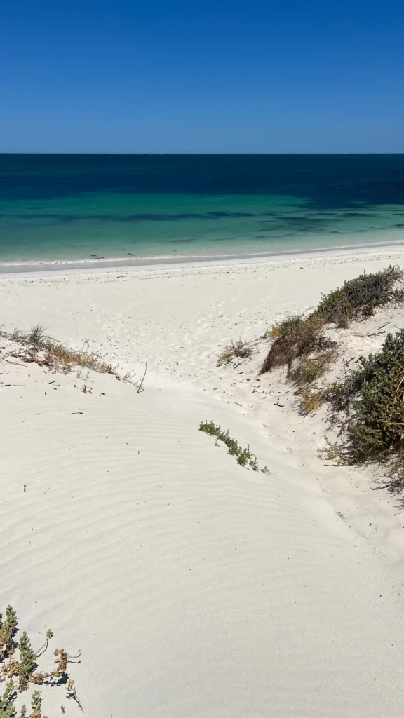 Sandy Cape Recreation Park ranta, kuvattuna vallin päältä.