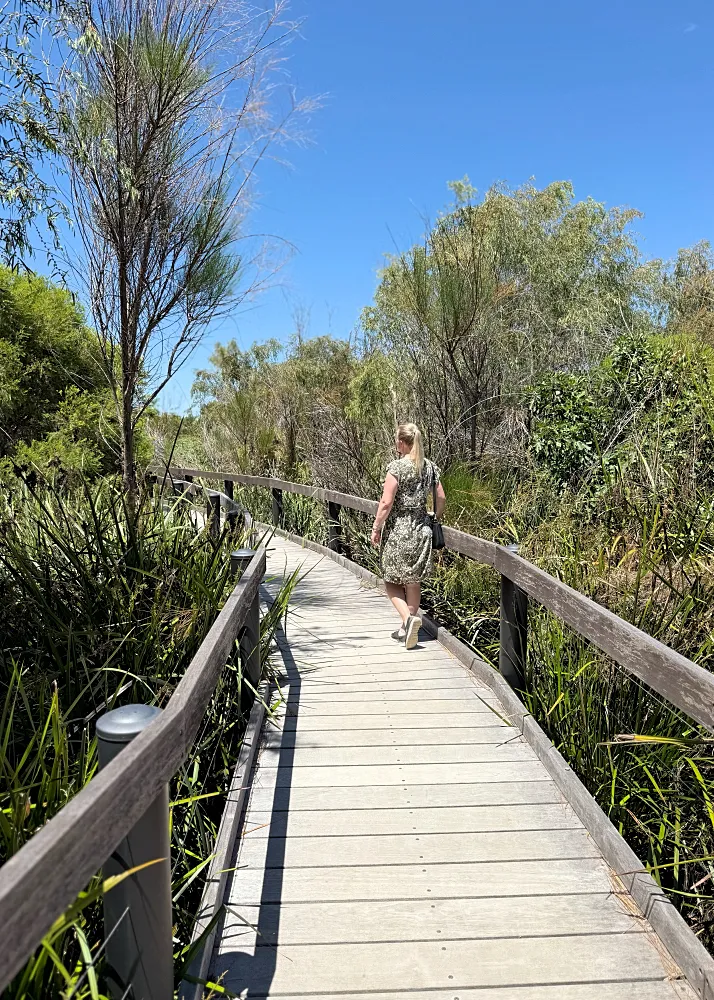 Wetlands walk trail kävelysillalla Yanchep kansallispuistossa Länsi-Australiassa.