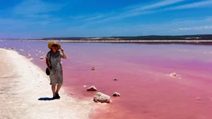 Vaaleanpunaisen järven rannalla Länsi-Australiassa.