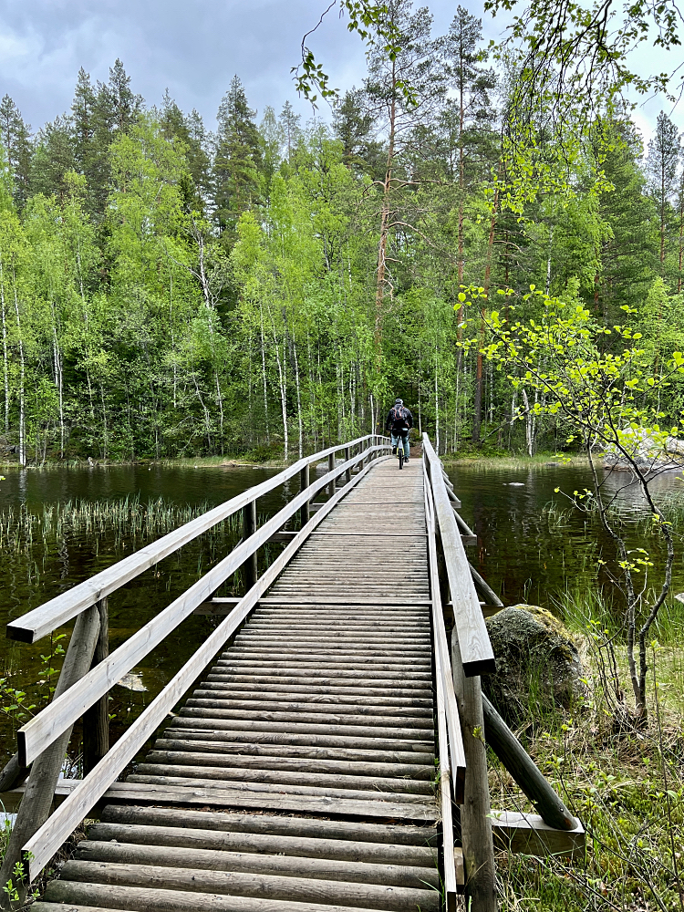 Silta Isojärven kansallispuistossa