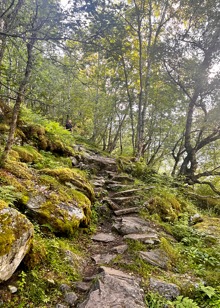 Metsäinen patikointipolku takaisin kohti Geirangeria.