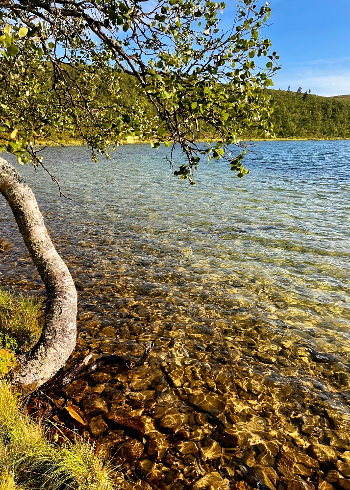 Kirkasvetinen Rautulampi.