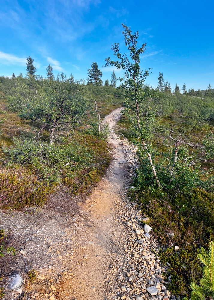 Rautulammelta Luulammele vievä polku.